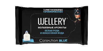wellery collection blue